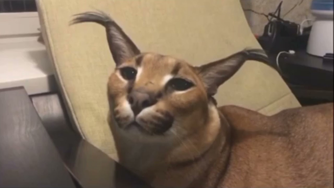 we dont talk about bruno mod fnf
