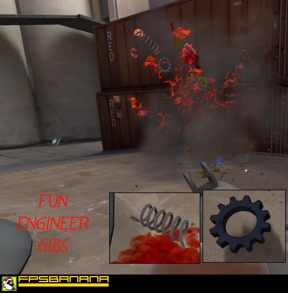 Fun Engineer Gibs