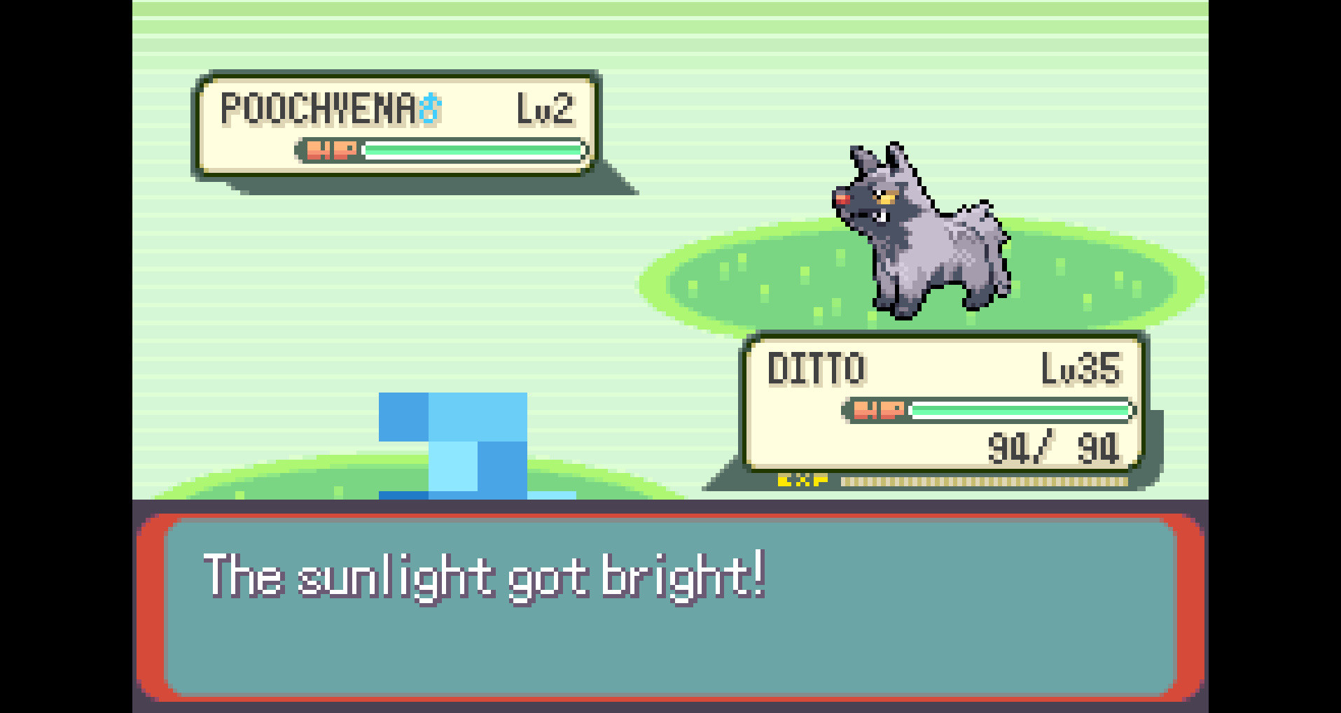 Ditto question : r/PokemonEmerald