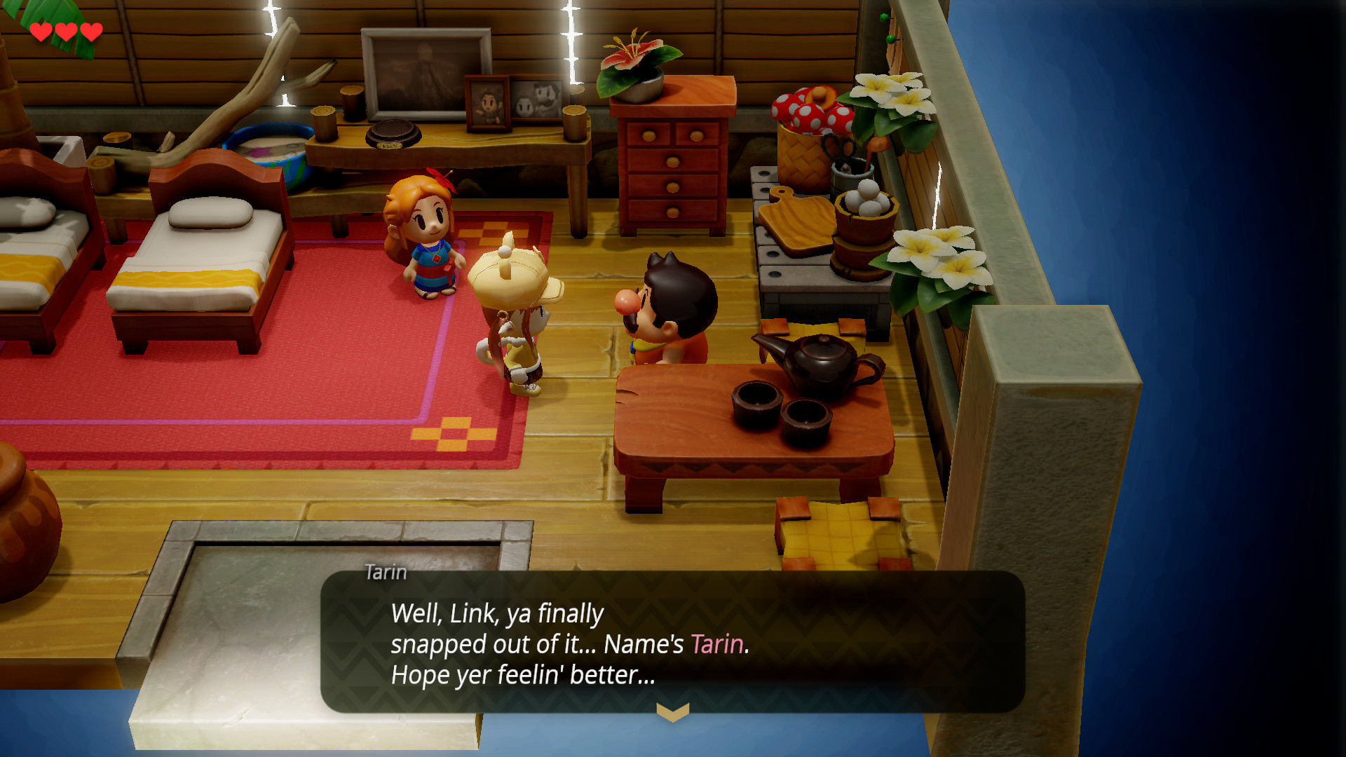 Aki Link [The Legend of Zelda Link's Awakening (Switch