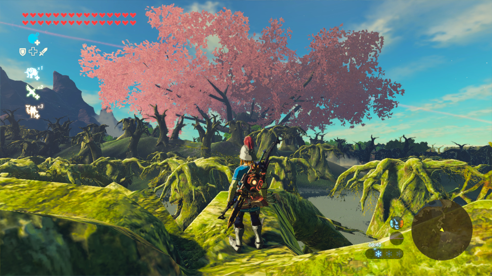 No fog in Korok Forest [The Legend of Zelda Breath of the Wild (WiiU