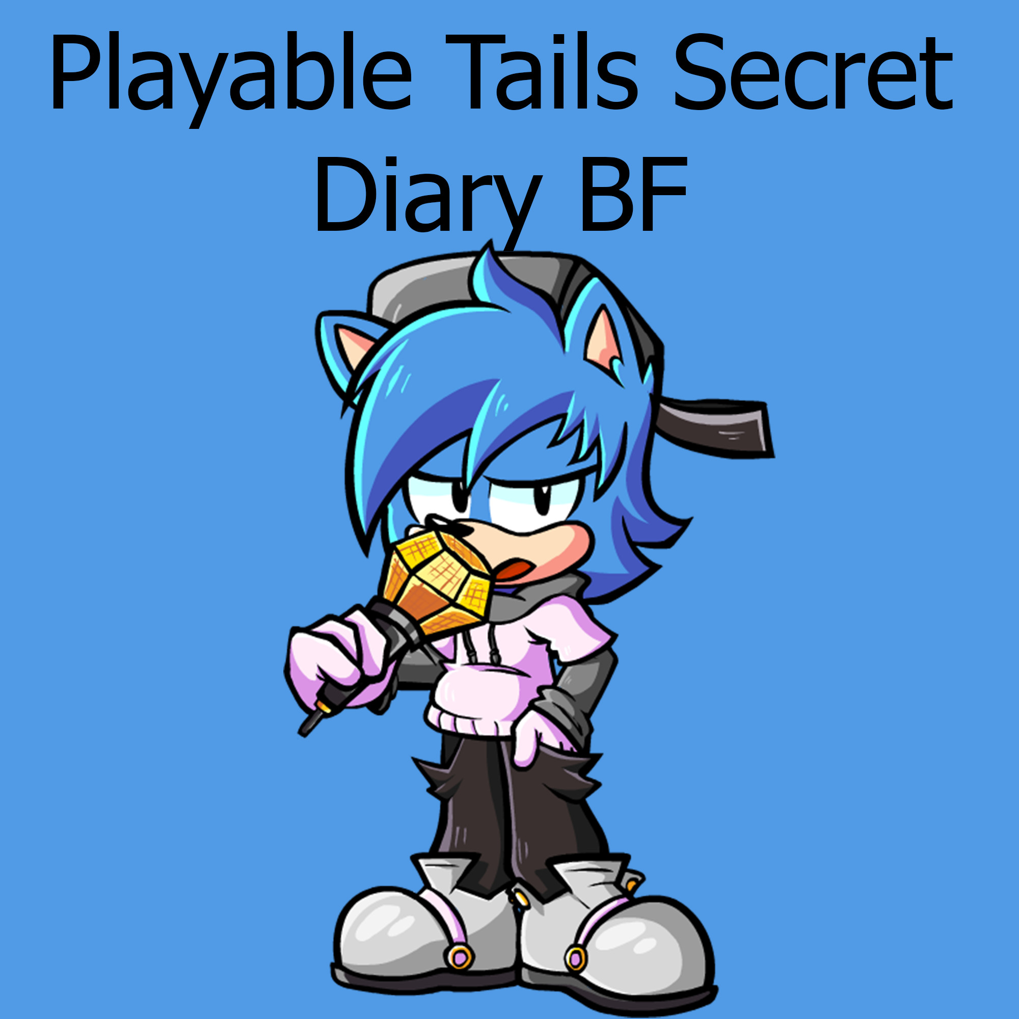 Playable Tails Diary BF