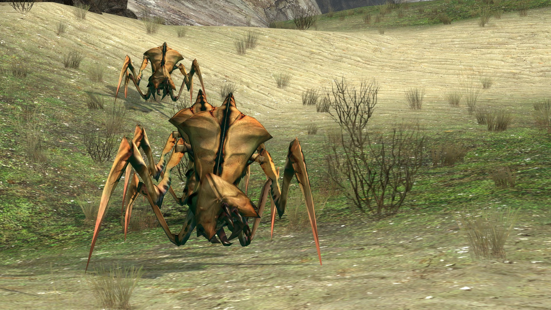 Shader Showcase Antlion [Half-Life 2] [Mods]