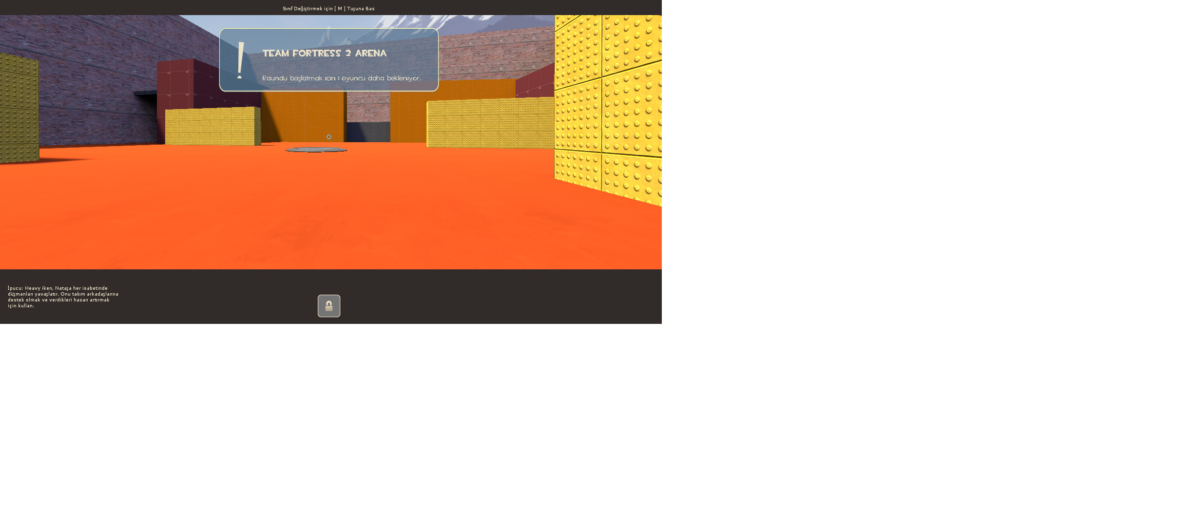 Customarena_y001