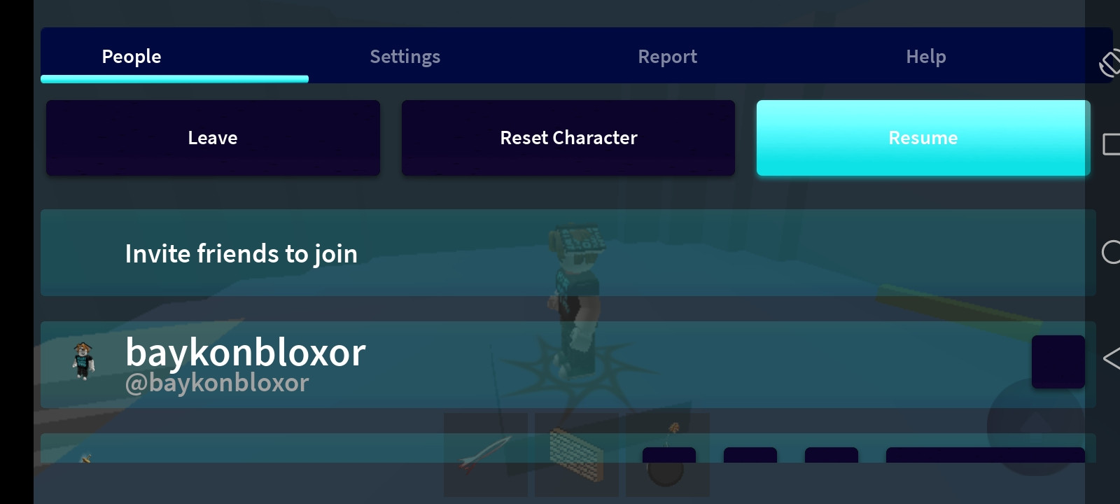 liteapks roblox mod