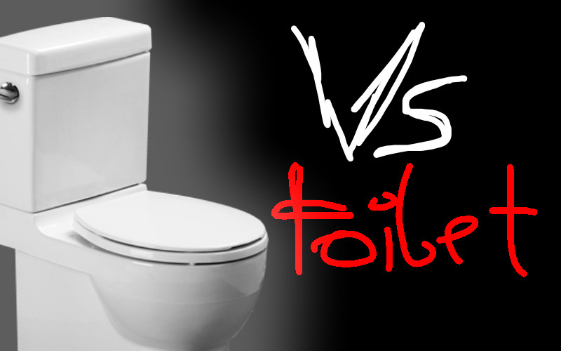 Vs toilet