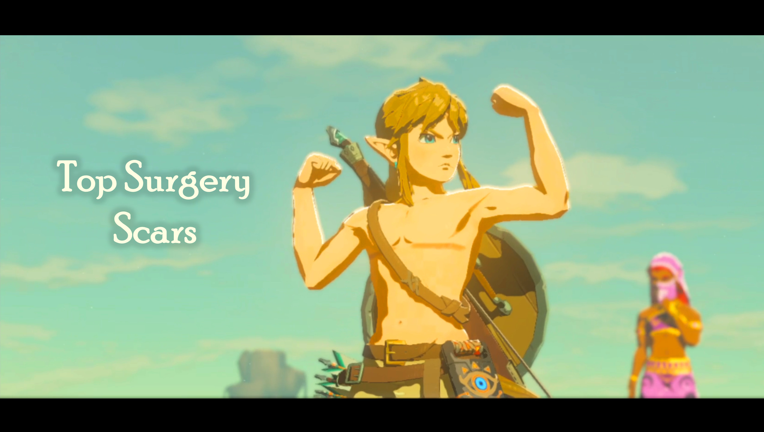 Top Surgery Scars The Legend Of Zelda Breath Of The Wild Switch Mods 6095