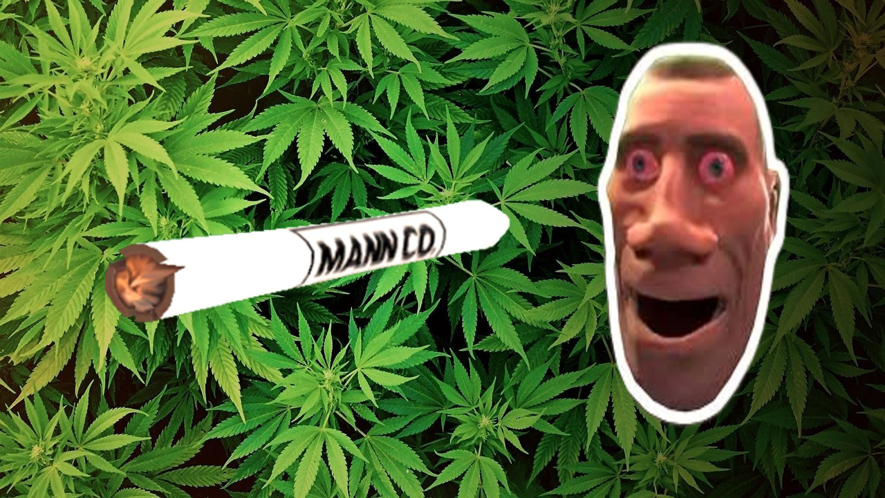 Weed Fortress