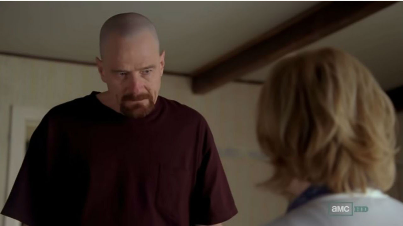 BREAKING BAD MOD (Walter vs Skyler)