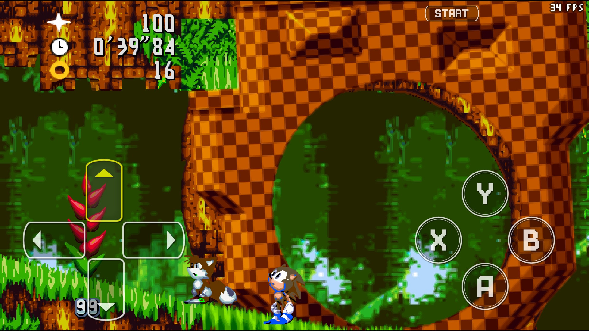 Green Hill Zone. Sonic thr Hedghog