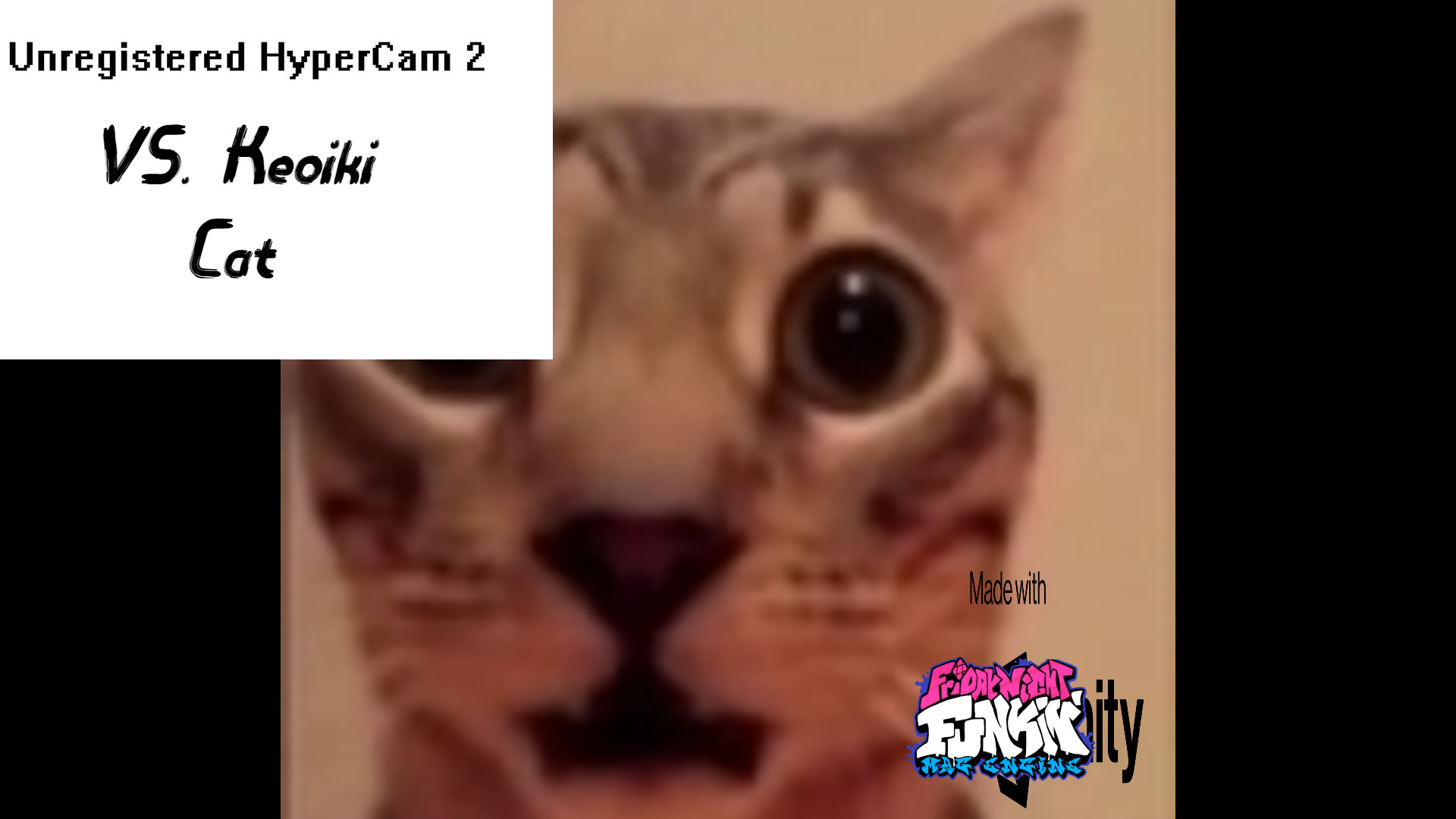 VS. Keoiki Cat