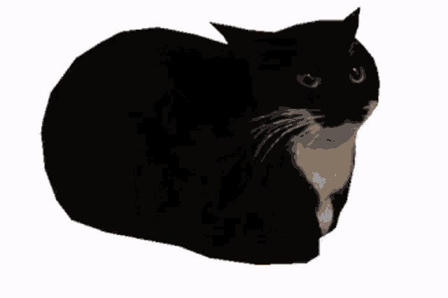 maxwell cat over eye of perception/memory of dust