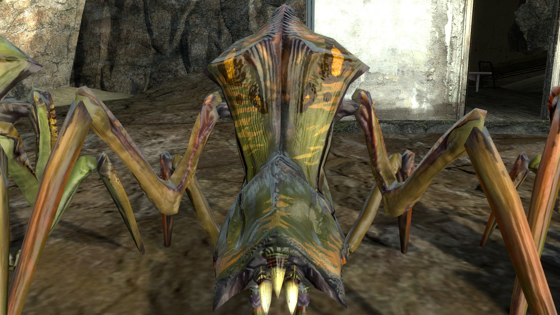 Antlion soldier with iconic patterns [Half-Life 2] [Mods]