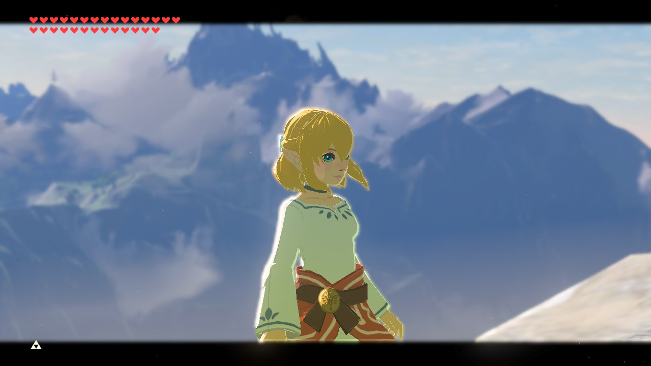 Linkle Hair Replacers Nx [the Legend Of Zelda Breath Of The Wild