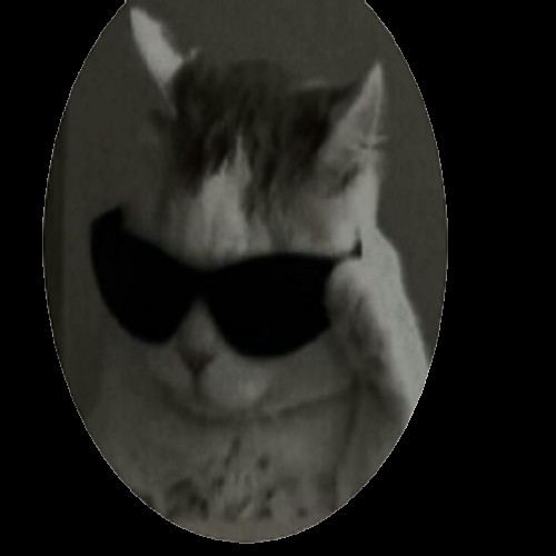 Thug Cat Nextbot [A Little bit fast] [Garry's Mod] [Mods]