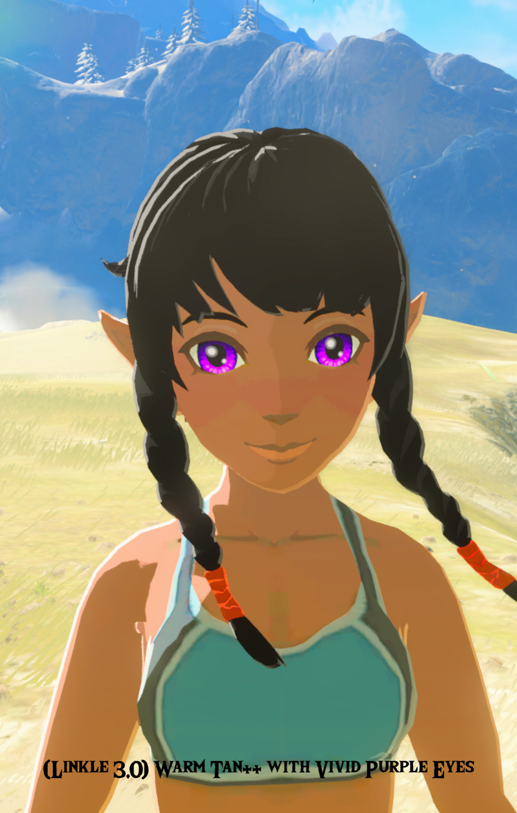 Linkle 30 Tan With Vivid Linkle Eyes The Legend Of Zelda Breath Of The Wild Wiiu Mods 0193