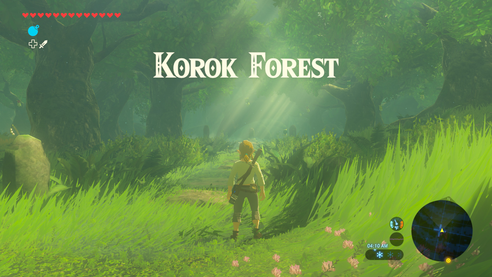 Start in Lost Woods or Korok Forest [The Legend of Zelda Breath of the