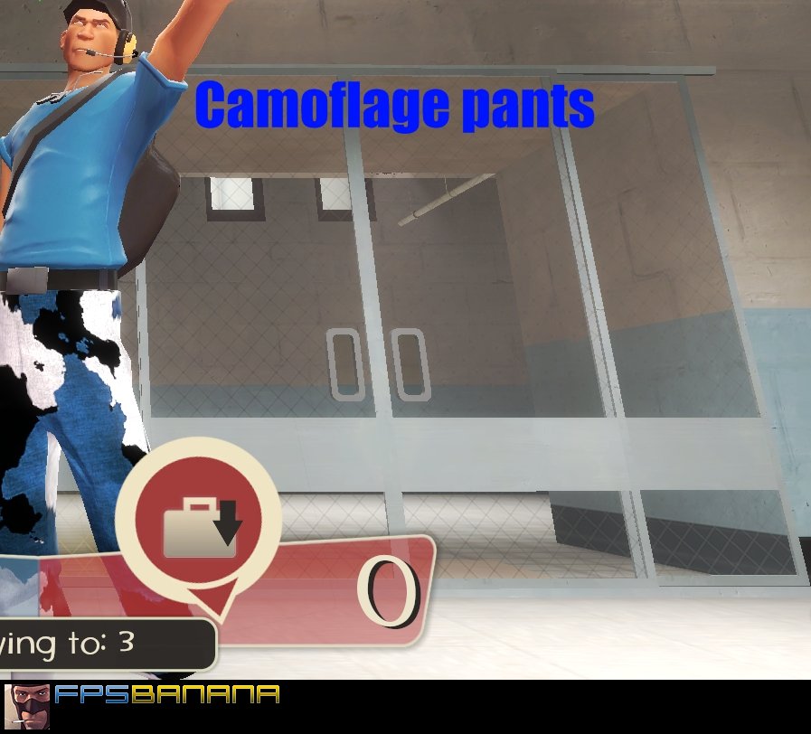 Camopants