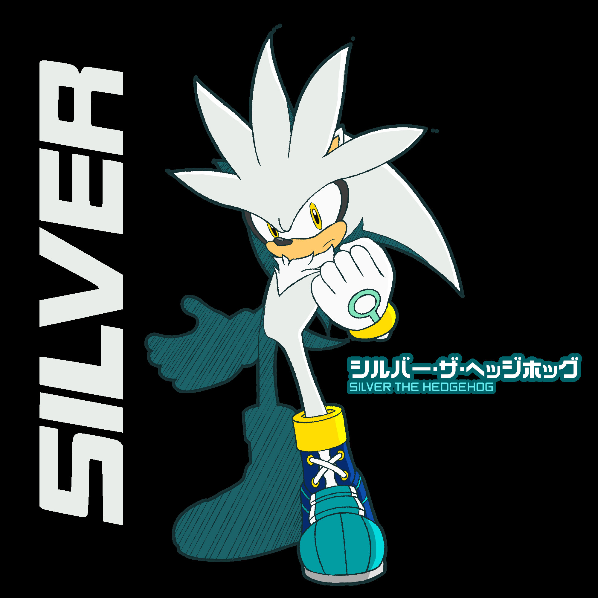 Sonic Riders Silver