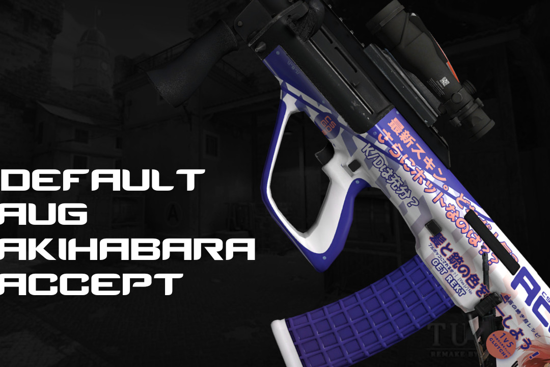 DEFAULT AUG | AKIHABARA ACCEPT Mod for Counter-Strike 1.6 | CS1.6 Mods
