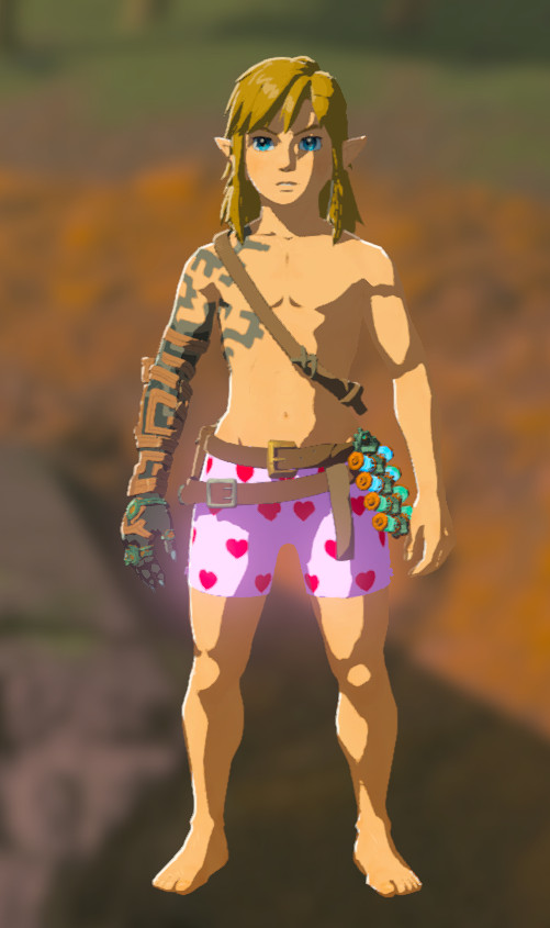Pink Underwear [The Legend of Zelda: Tears of the Kingdom] [Mods]