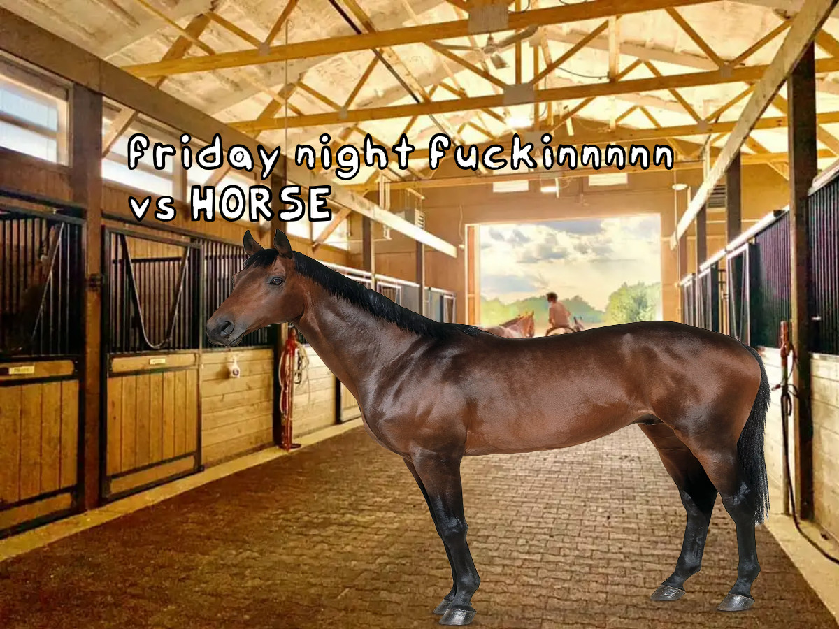 Friday night Horsin': VS Hors