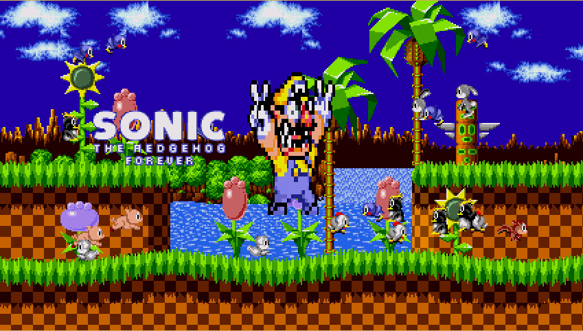 Wario in Sonic Forever