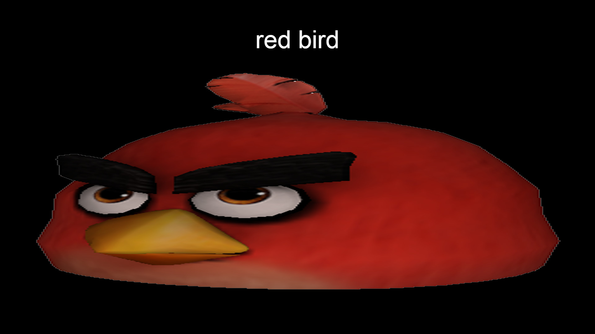 VS Red Bird Recharted