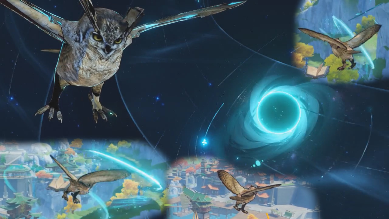 Owl Wanderer