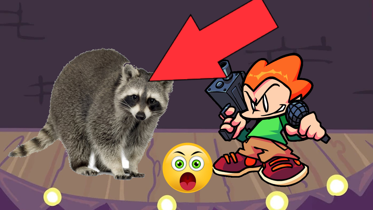 pico vs a raccoon Mod for Friday Night Funkin' | FNF Mods