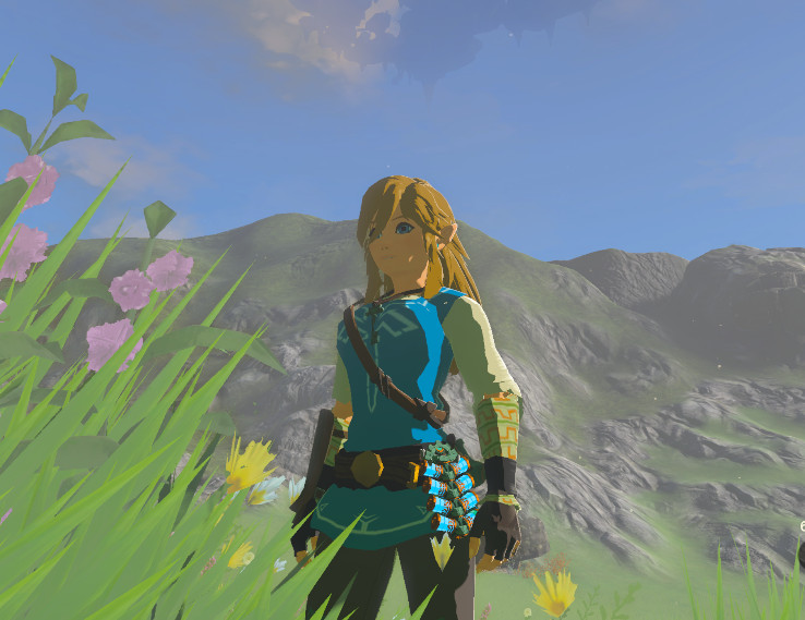 DLC not working in BotW due to update? Idk what to do : r/Ryujinx