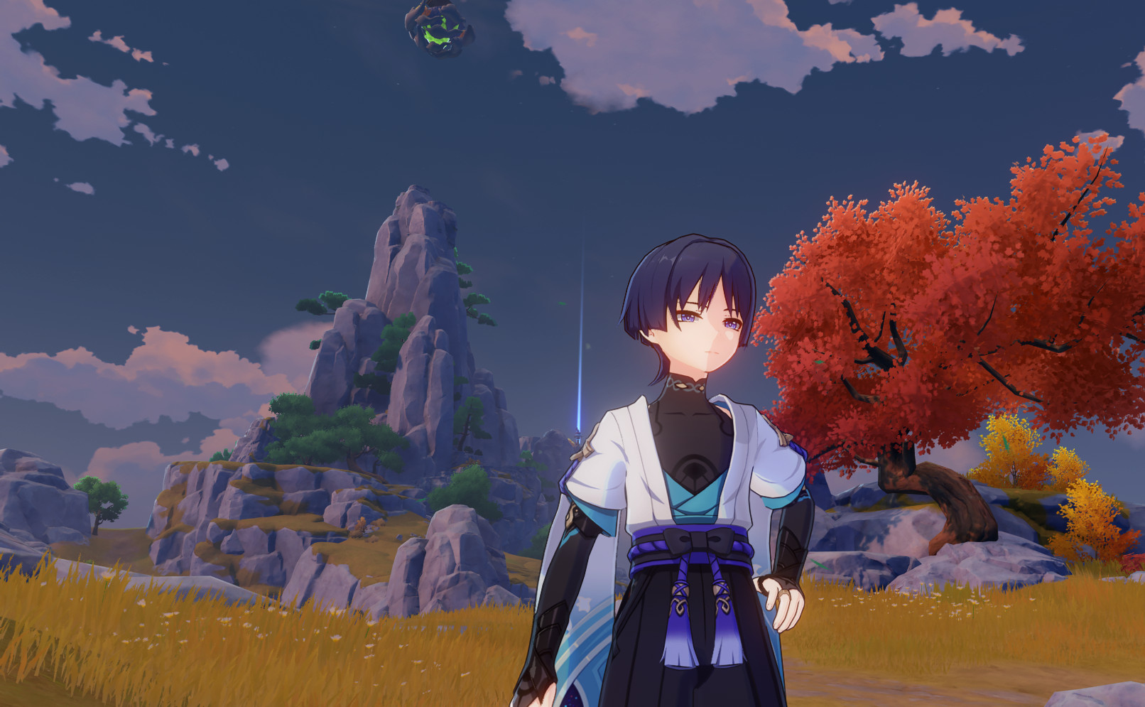 Simple Wanderer