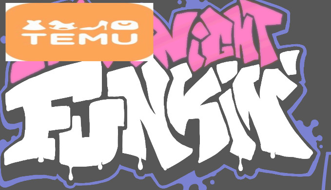 VS Temu