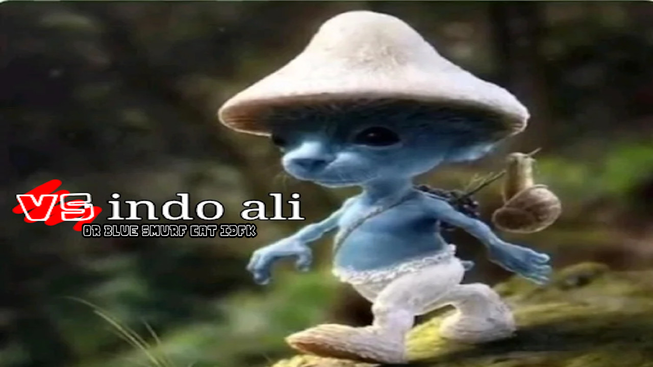 vs Indo Ali