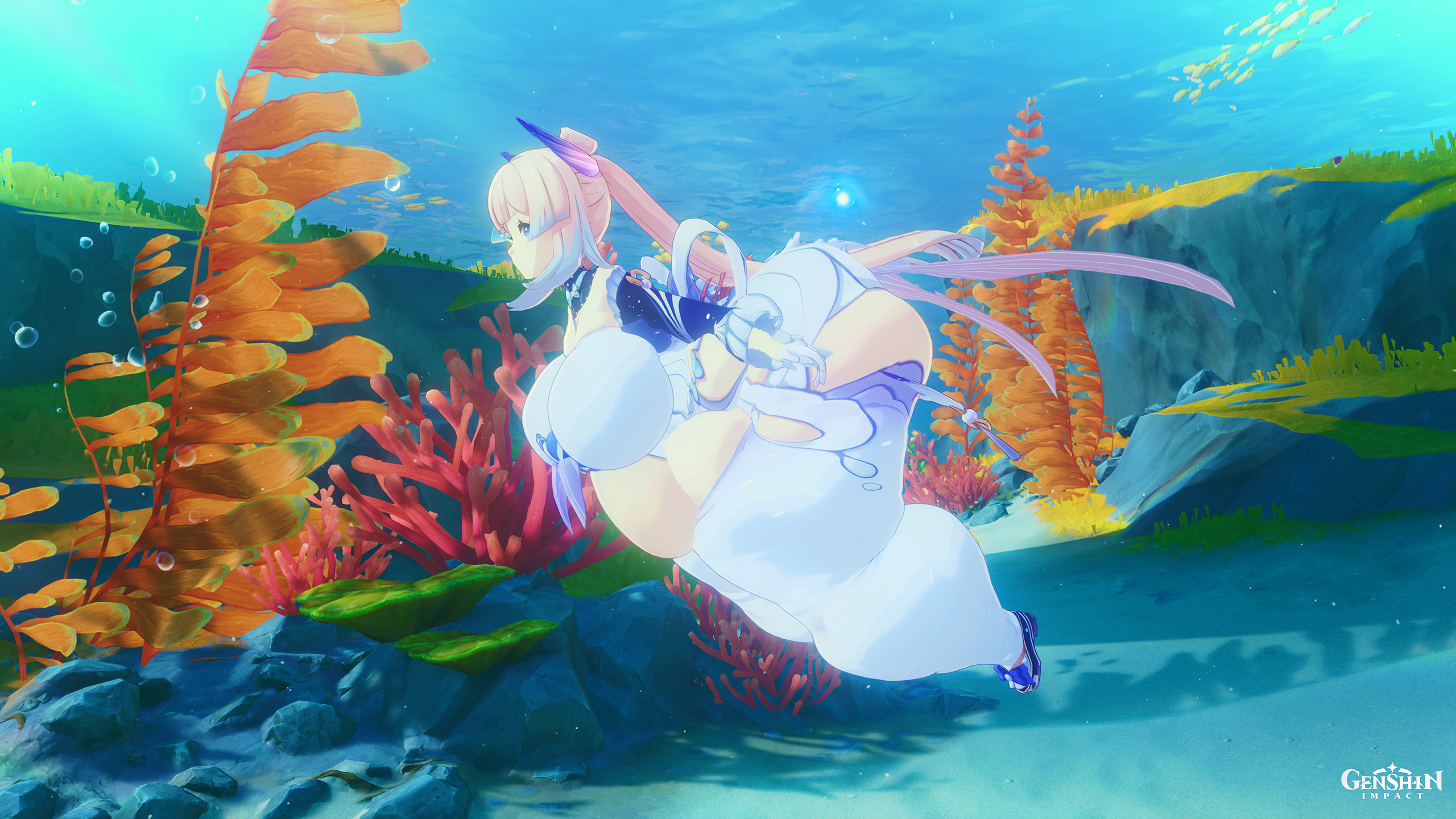 Fat Land Whale Kokomi