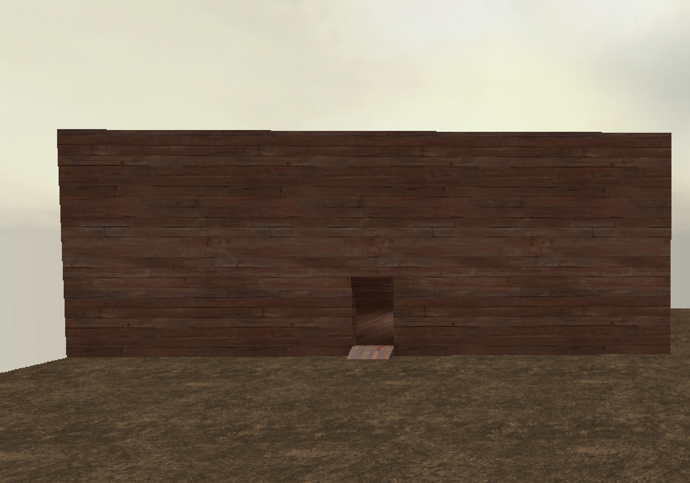 big_empty_house