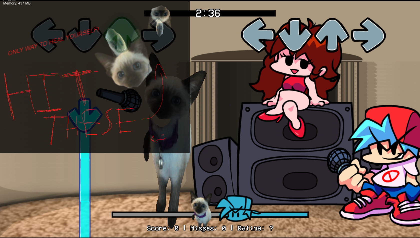 Piie's Silly Cat Calamity