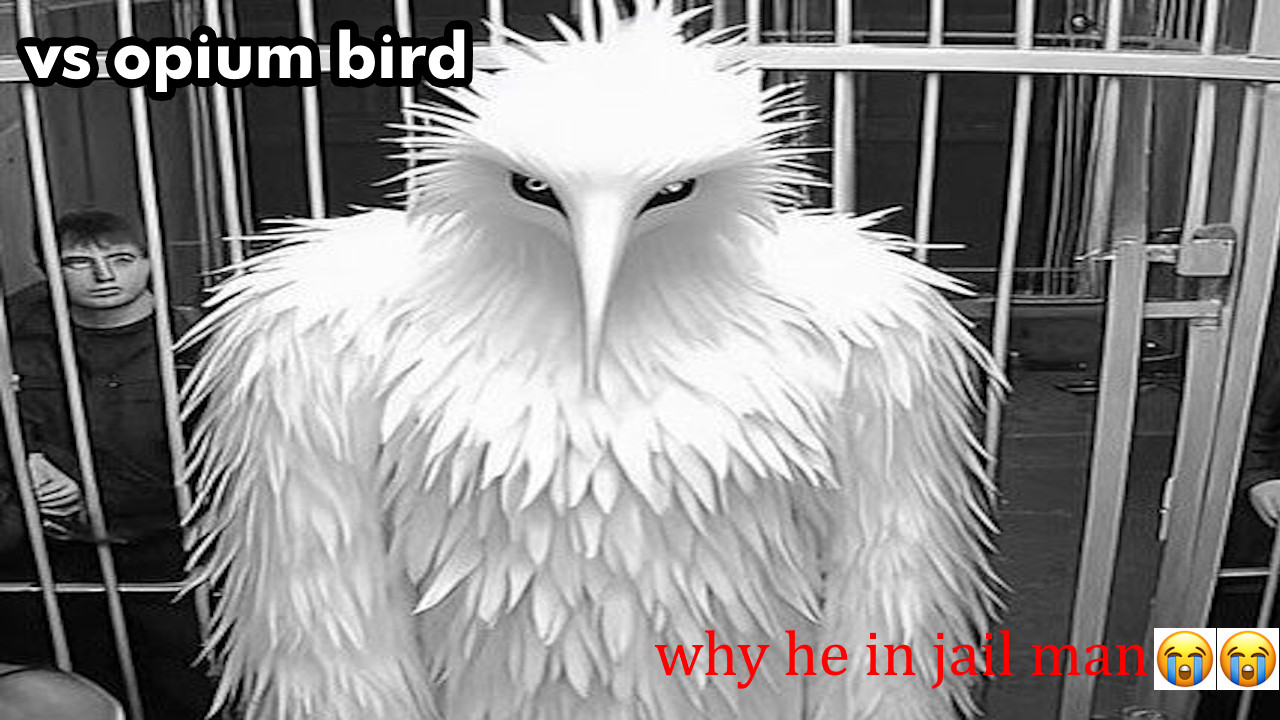 vs opium bird