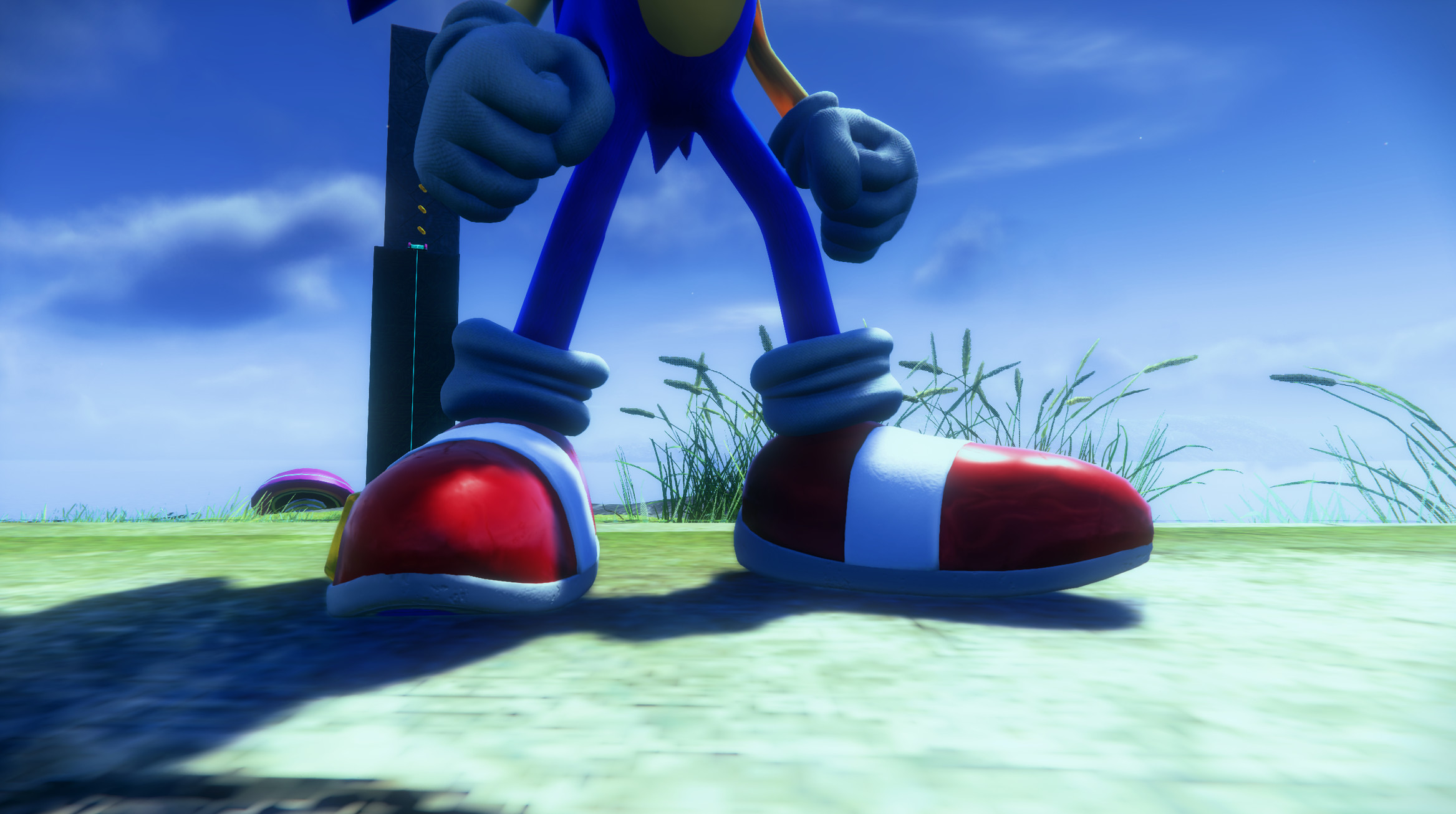 Sonic hot sale custom shoes