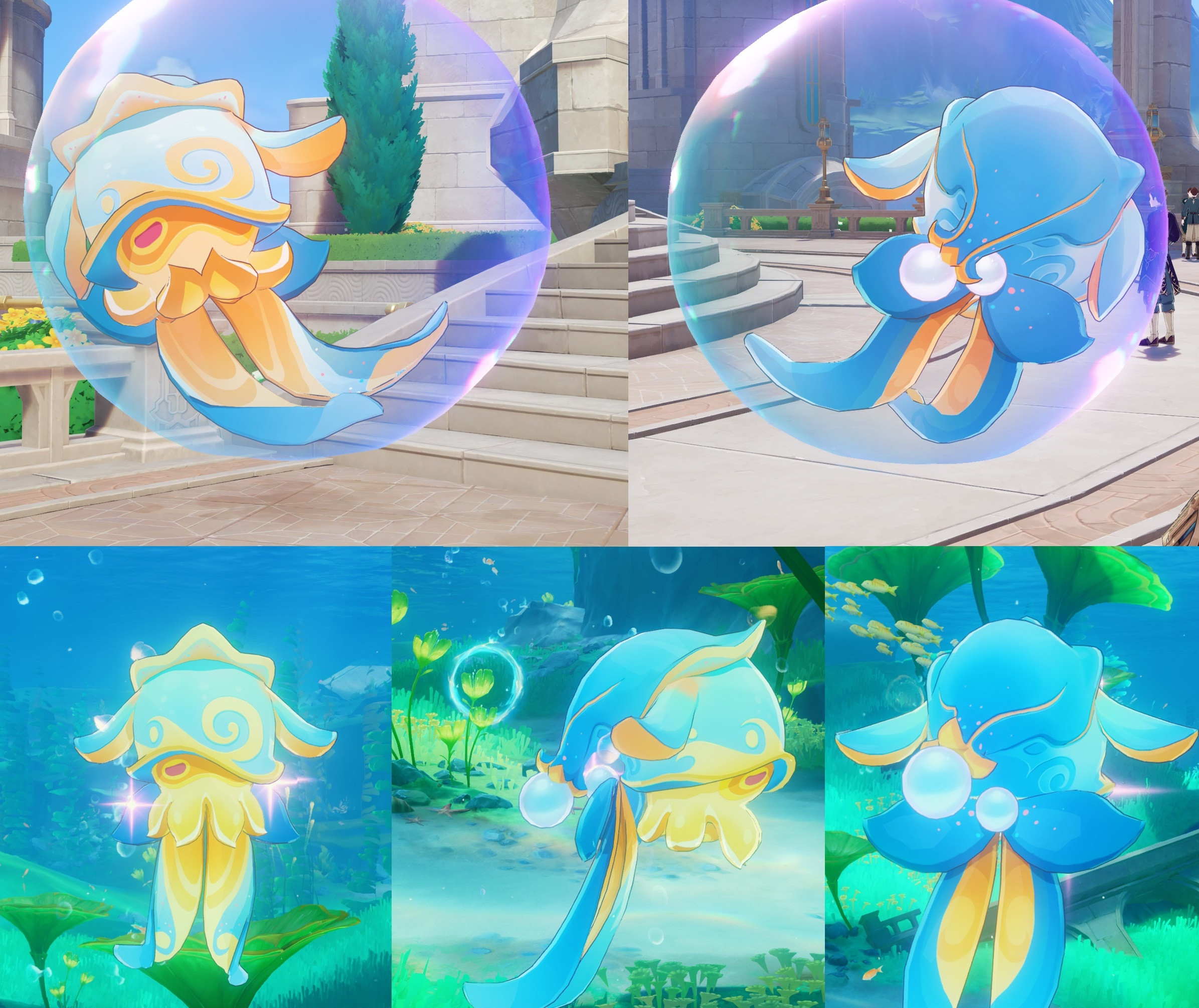New Colors for Octobaby
