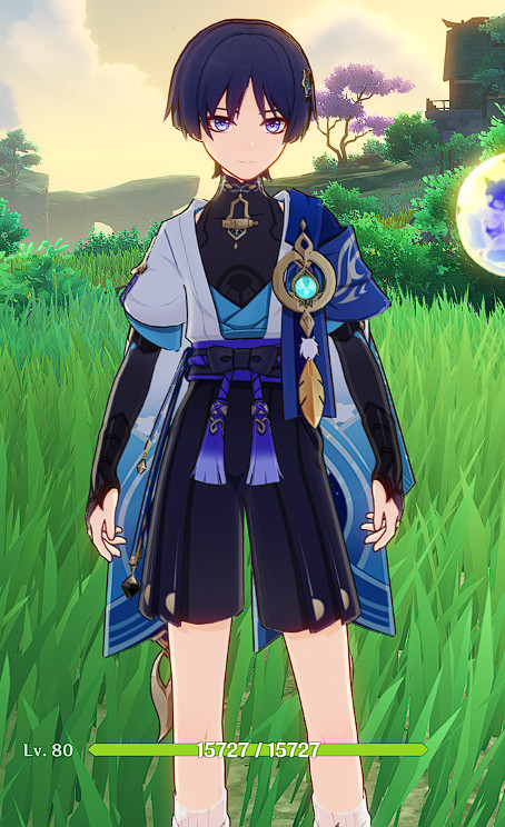 Customised Wanderer