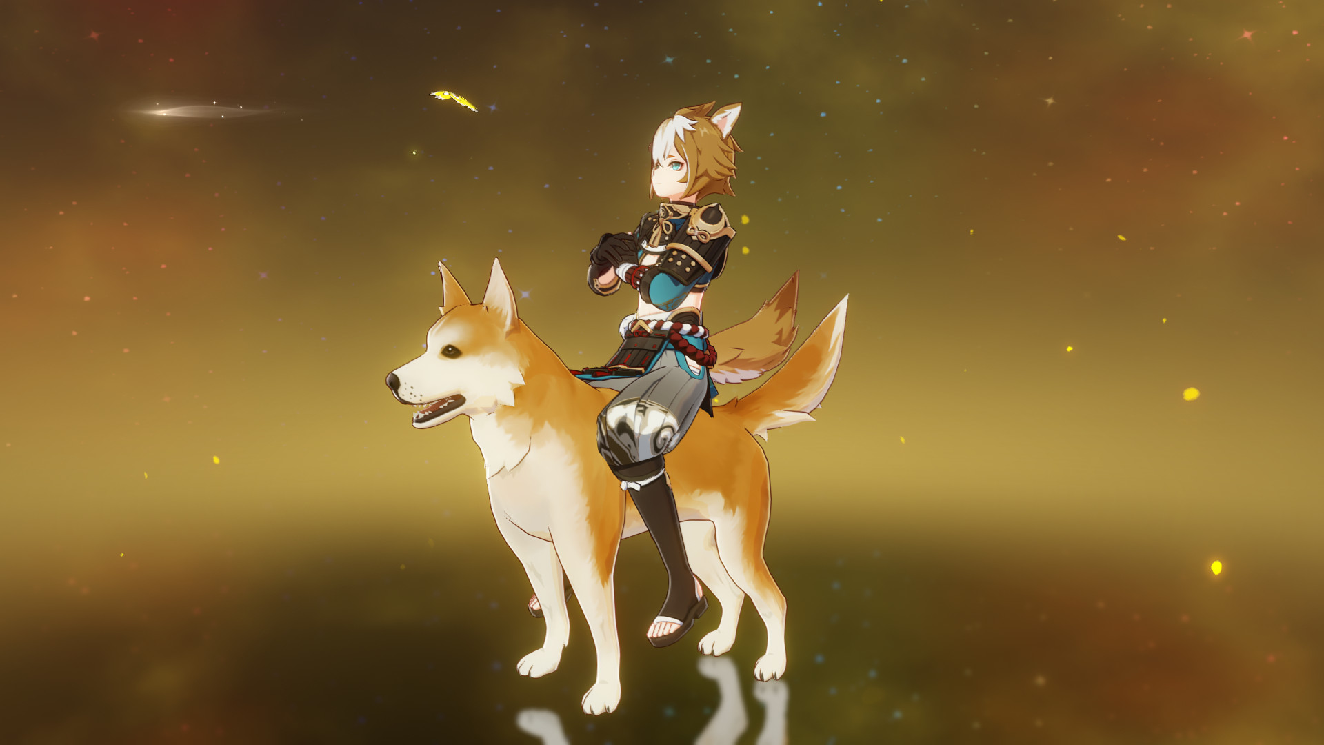 Gorou on Shiba