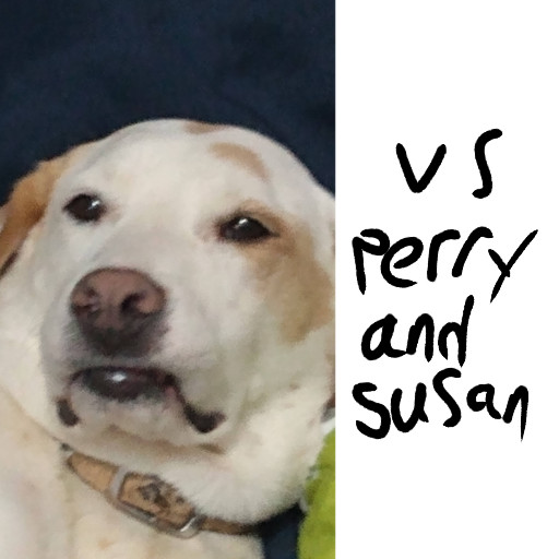 fnf vs Susan and Perry