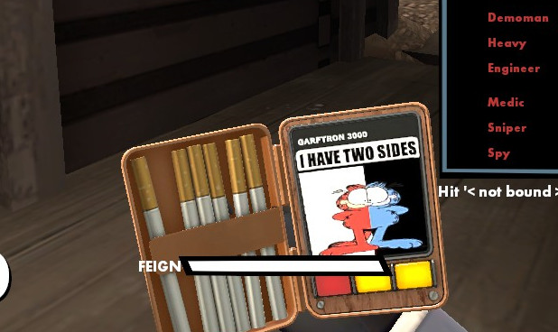 "I have two sides" Disguise Kit