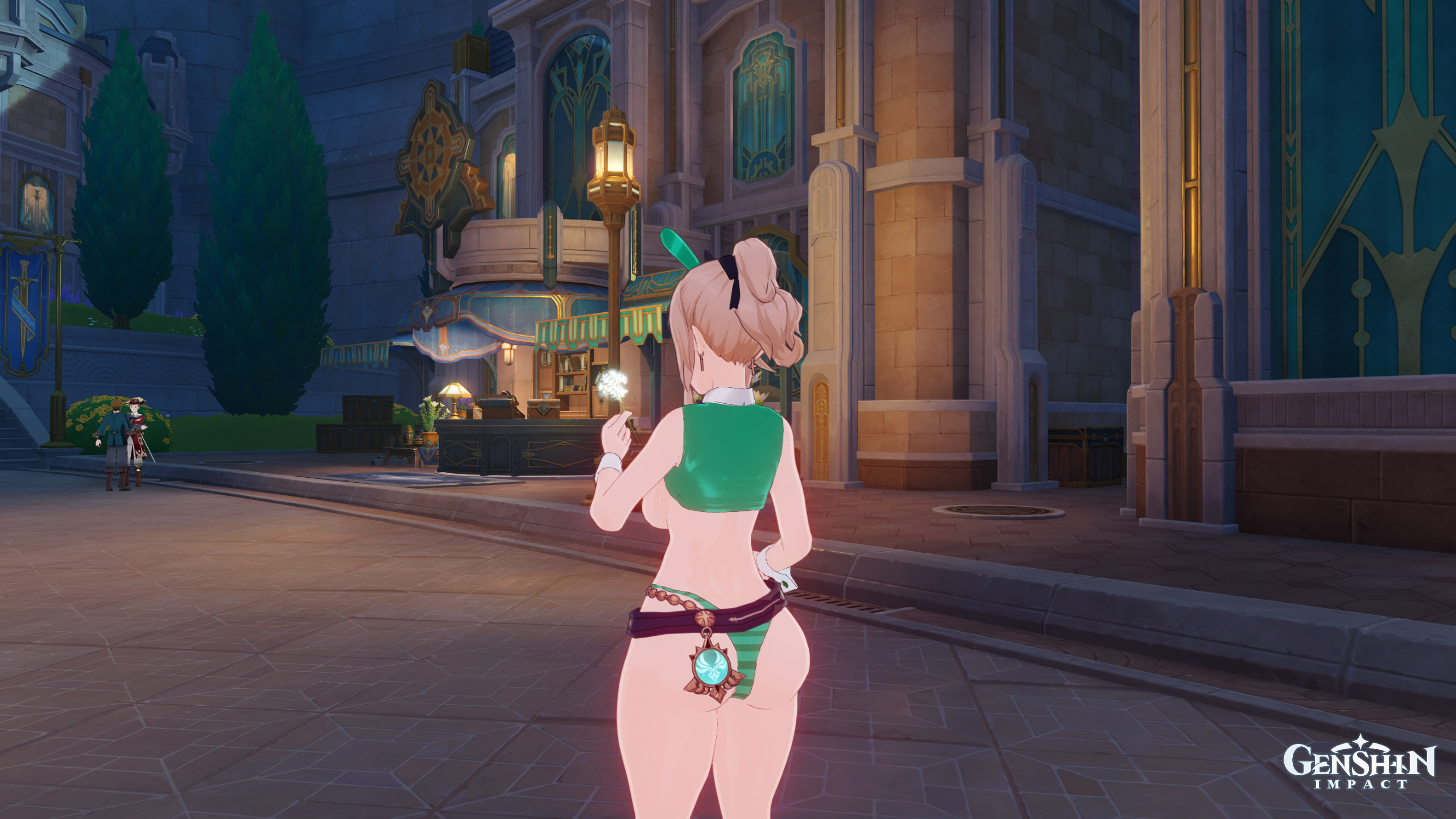 Reverse Bunny Jean