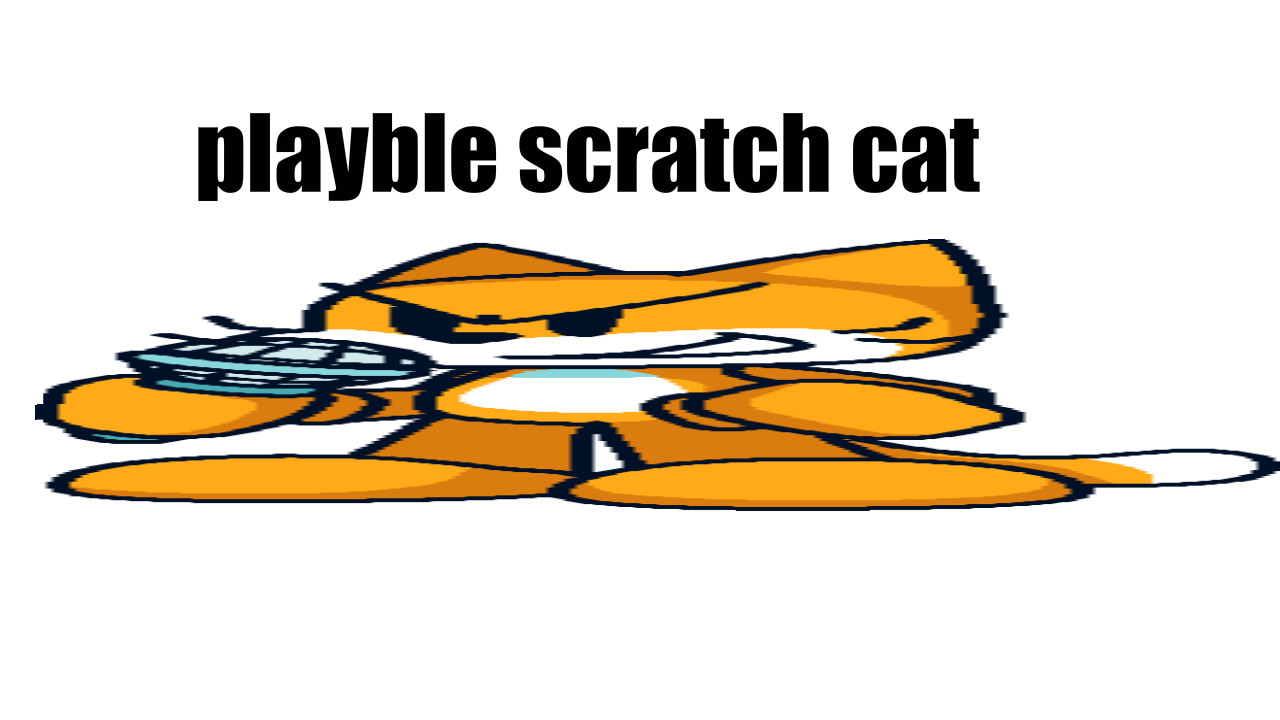 playble scratch cat