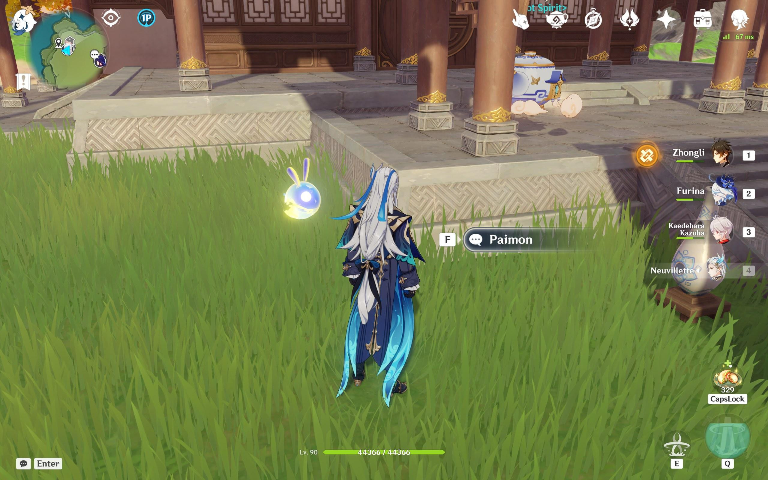 Remove Paimon