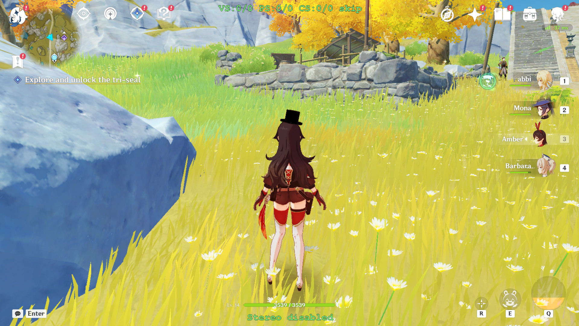 Amber hat