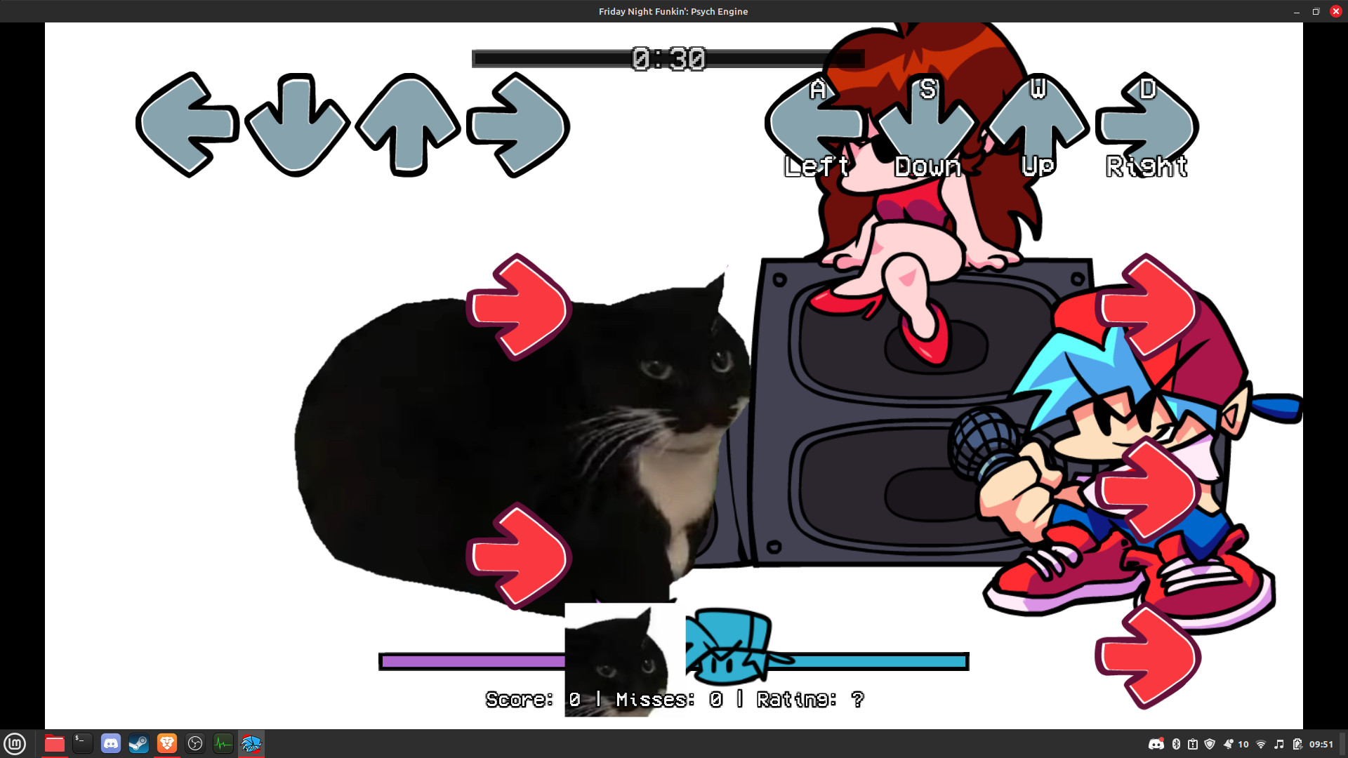 Friday Night Funkin' vs cat maxwell