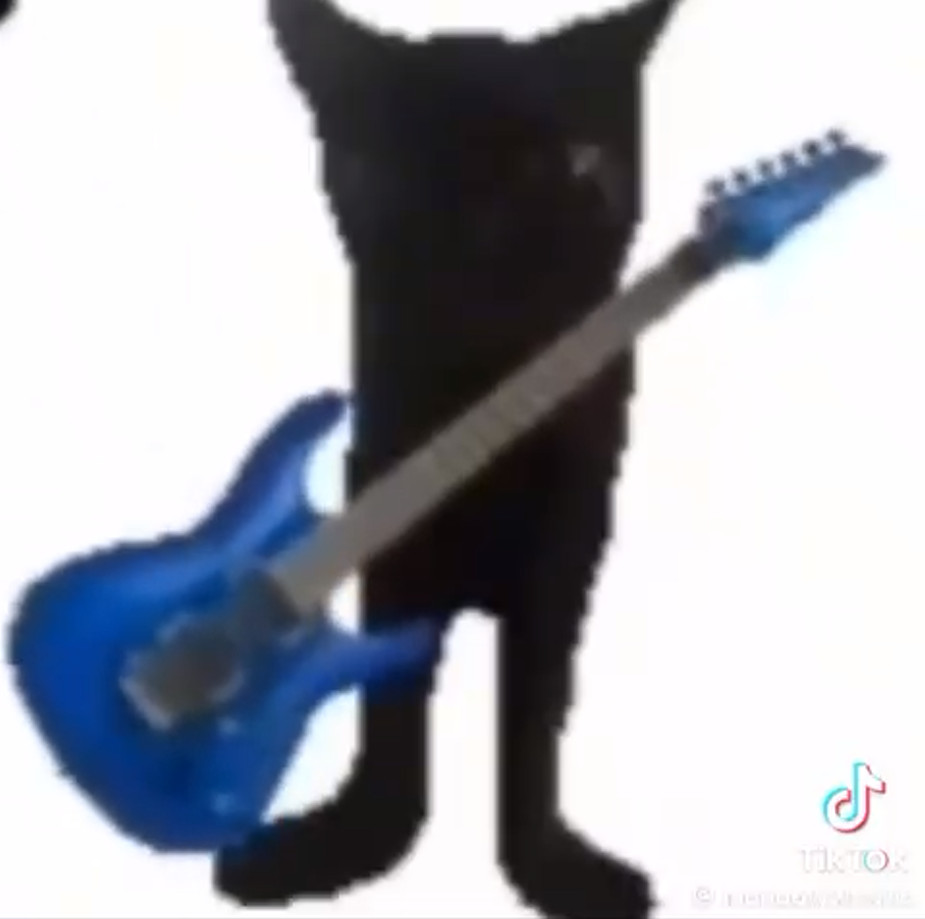 Vs Guitar Cat